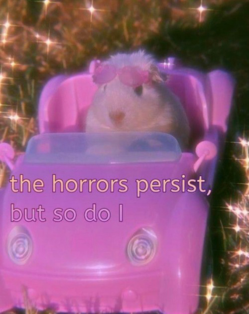 A hamster in a pink toy car with sparkly letters edited in saying 'the horrors persist but so do I'